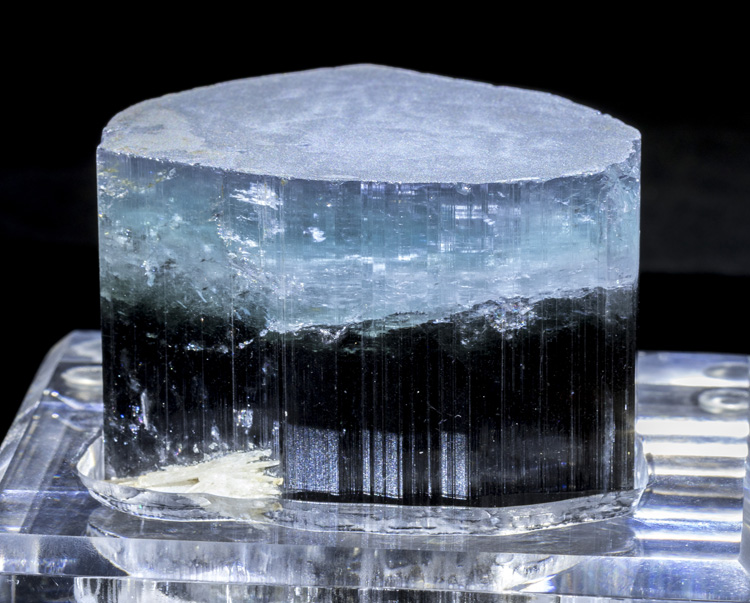 Large Blue Cap Tourmaline var. Indicolite from Nuristan, Afghanistan - Greenstone Fine Mineralia